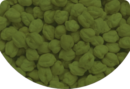 Chickpeas Seeds