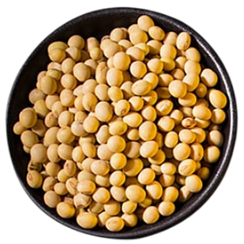 Soybean Seeds